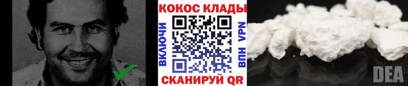 Cocaine FishScale  цены наркотик  Калининец 